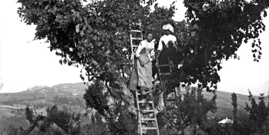 1898 storia_9