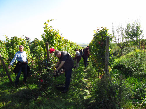 Pachters aan het oogsten, 4 oktober 2014