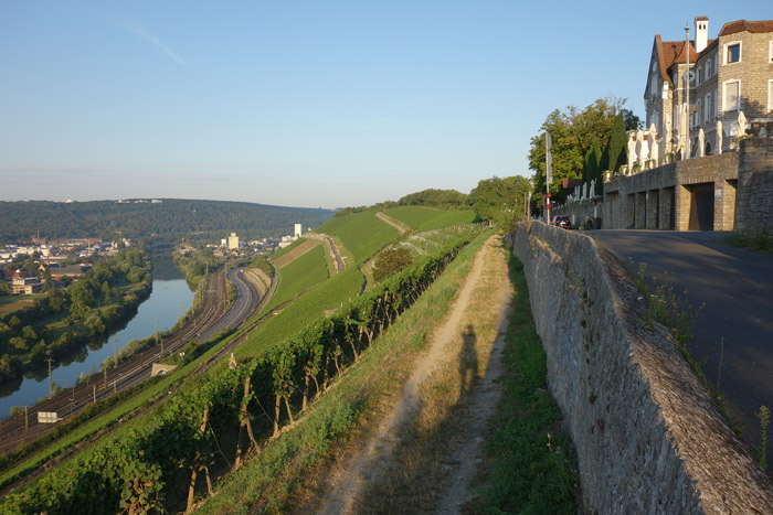 Würzburger Stein