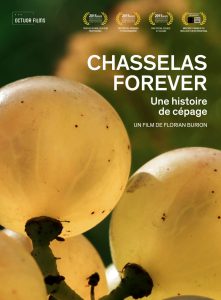 chasselas-affiche