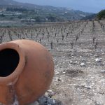 Cyprus, eiland met een eeuwenoude wijncultuur