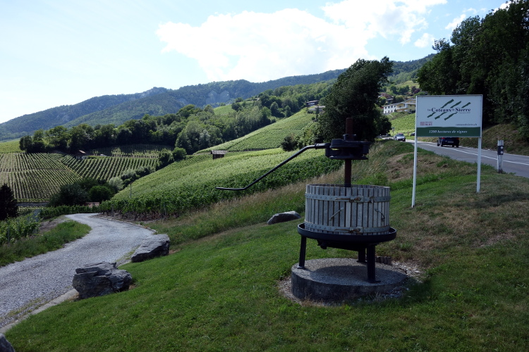 Coteaux_de_Sierre_Venthone
